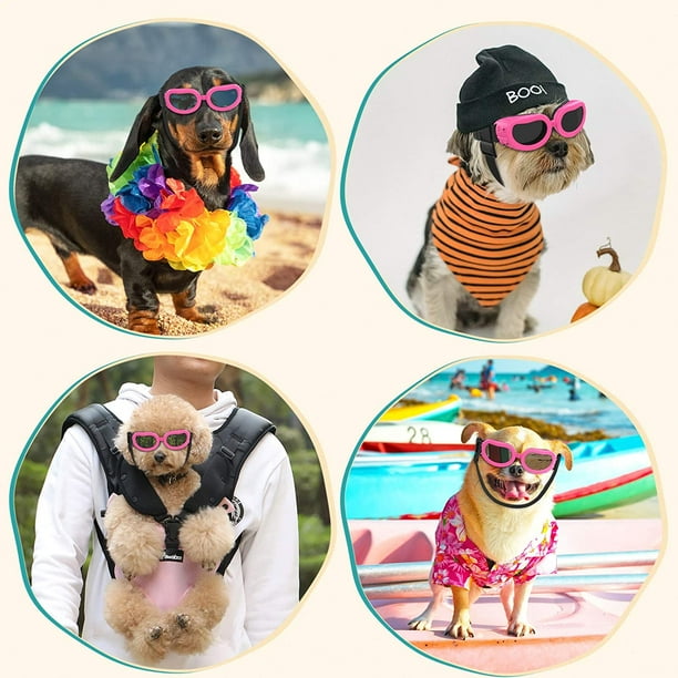 Dog visor and sunglasses hot sale
