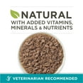 thumbnail image 4 of Purina ONE Natural High Protein Cat Food, Chicken Recipe in Wet Cat Food Gravy, 3 oz Can, 4 of 11