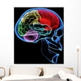 thumbnail image 1 of Human Brain Wall Mural by Wallmonkeys Peel and Stick Graphic (48 in H x 42 in W) WM324559, 1 of 4