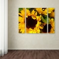 thumbnail image 4 of Amy Vangsgard 'Sunflowers' Multi Panel Art Set Small, 4 of 4