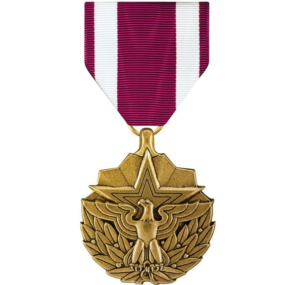 Meritorious Service Medal (MSM) Full Size
