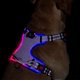thumbnail image 1 of Arnés para perros con luz LED: Chaleco reflectante ajustable con arnés para mascotas recargable antiestrangulamiento, manija de fácil control (púrpura, XL), 1 of 5