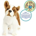 thumbnail image 5 of Bobby The Boston Terrier Boxer - 14.5 Inch Large Dog Stuffed Animal Plush - by TigerHart Toys, 5 of 6
