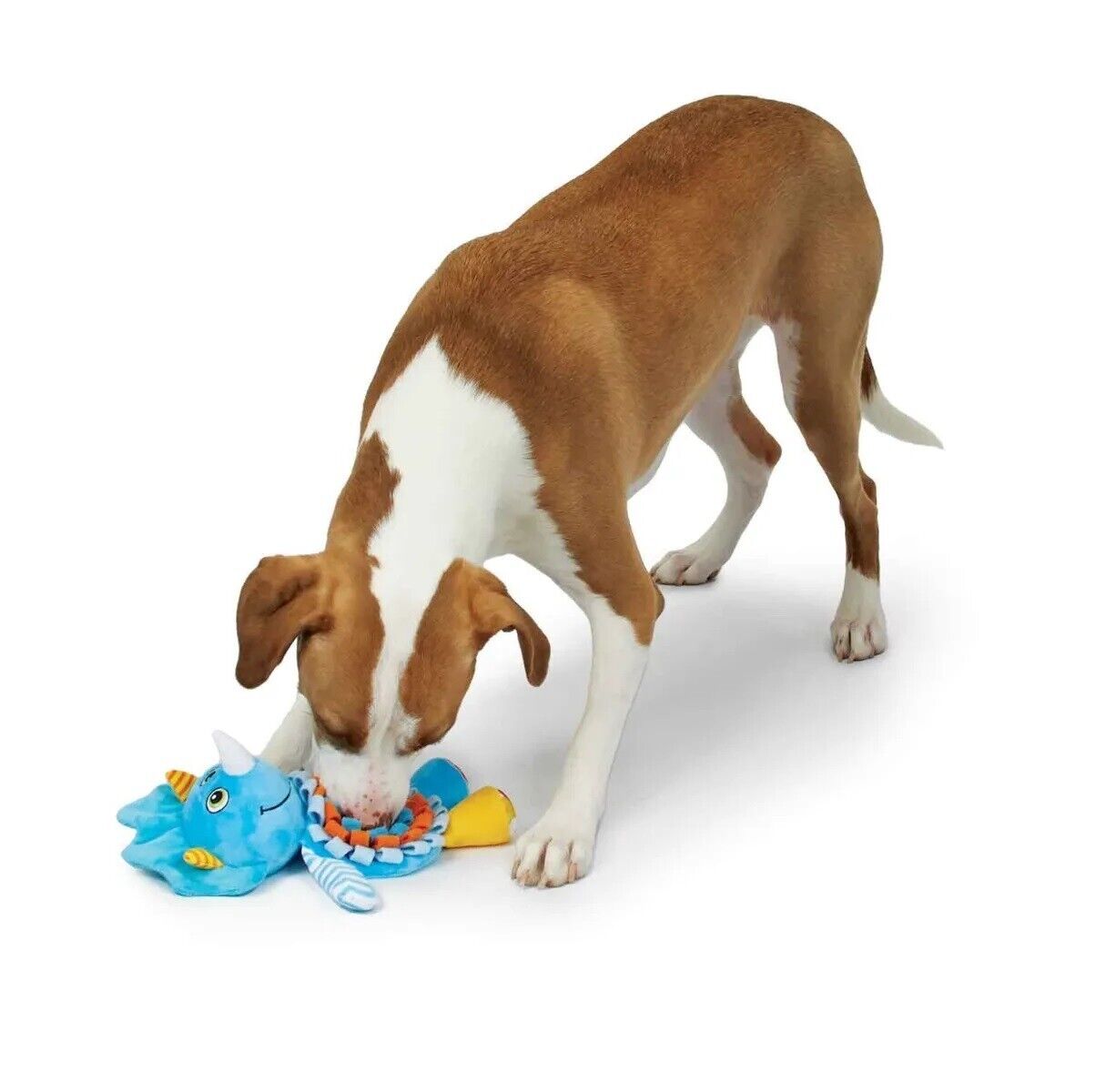 Treat Hiding Dog Toys Interactive Pocket Playtime Squeak Choose Character or Set (Black and White Penguin)