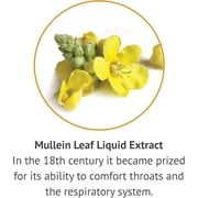 Botanic Choice Mullein Leaf Extract Liquid, Traditional Respiratory & Lung Support Supplements, 1 Fl Oz