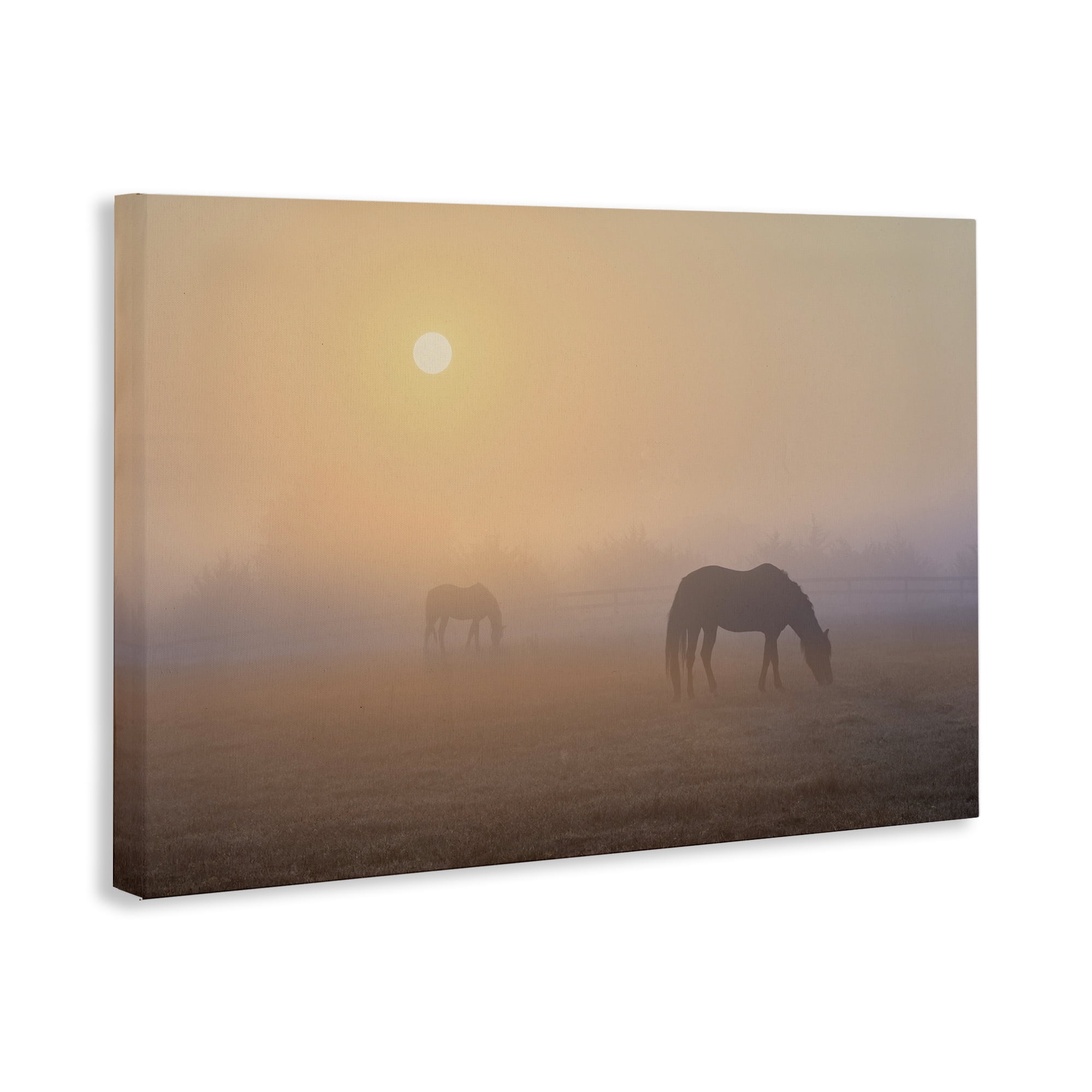 Stupell Industries Misty Sunlit Horses Landscape & Nature Photography Wrapped Canvas Art Print Wall Art, 45 x 30