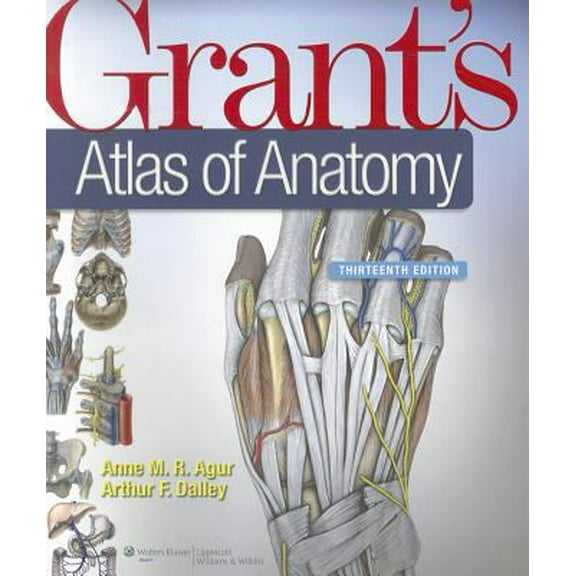 Pre-Owned Grant's Atlas of Anatomy, 13th Edition (Paperback) 1608317560 9781608317561