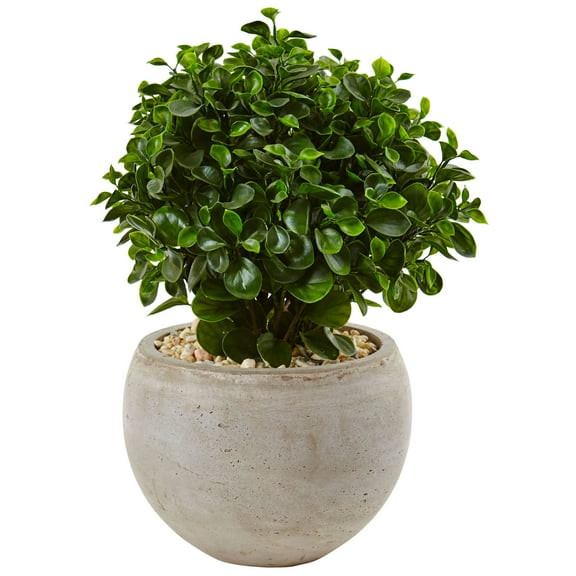 Nearly Natural 2’ Eucalyptus Silk Plant in Sand Colored Bowl UV Resistant (Indoor/Outdoor)