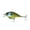 Gilliken, variant on 6th Sense Fishing Crush Series 50X - Bluegill Spawn
