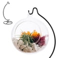thumbnail image 4 of Houderco 2Ud Soporte De Hierro Para Florero Hidropónico Con Espiral Antideslizante Para Exhibición En Casa, 4 of 8