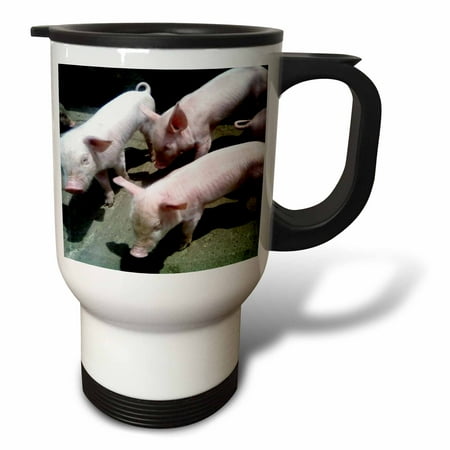 

3dRose 3 Baby Pigs Travel Mug 14oz Stainless Steel