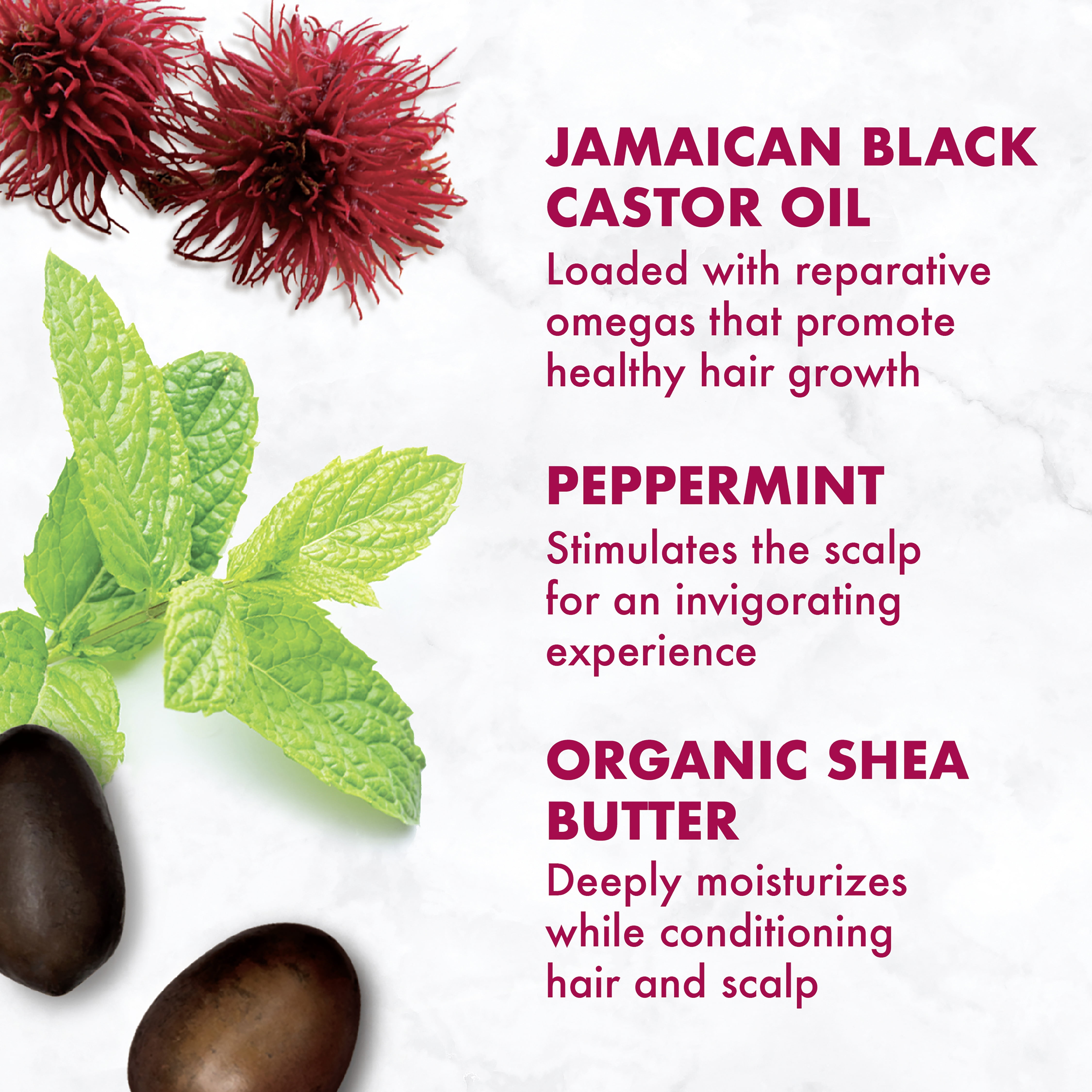 SheaMoisture Jamaican Black Castor Oil Strengthen & Restore Leavein Conditioner All Hair, 11.5 oz  (图4)