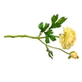 thumbnail image 4 of Kearding Ramo de Camelia Artificial de 2 cabezas simulación hogar jardín decoración boda banquete fiesta DIY Decoración Accesorios Flores artificiales amarillo Kearding HA8264-07B, 4 of 6