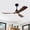 Black + Dark Walnut, variant on Modern Black Ceiling Fan With Light 3 ABS Blades Remote Control Reversible DC Motor With Dimmable LED 42 Inch