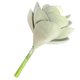 thumbnail image 4 of Flor suculenta artificial Oficina en casa Decoración de plantas suculentas falsas Decoración floral de EVA, Mediana, Verde sidaley HA6992-01B, 4 of 6