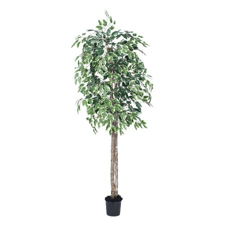Vickerman 6' Artificial Variegated Ficus Tree in Black (Best Artificial Trees For Indoors)