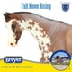 thumbnail image 2 of Modelo de juguete Horse Breyer Horses Tradicional Luna Llena naciente, 2 of 4