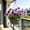 Purple, variant on Artificial Pansy Flowers Fake Flowers for Hotel Decoration Wedding and Home Decor Silk Flowers Bouquet Plastic Floral Arrangement for Centerpieces Aisle Decorations Table Decor 14.57 Inch 1 Pack