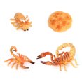 thumbnail image 2 of 1 Set Modèle de Ver de Pelle en Plastique Premium Figurines d'Insectes Significatives Modèles Éducatifs Précoces pour Projet Scolaire scorpion type 1, 2 of 6