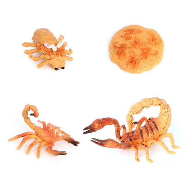 tredstone 1 Set Spade Worm Model Premium Plastic Material Meaningful Insect Figurines Early Educational Growing Models for School Project scorpion type 1