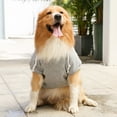 thumbnail image 2 of Winter Dog Hoodie Sweaters with Pockets Warm Dog Clothes for Small Dogs Coat Clothing Puppy cat Custume, 2 of 8