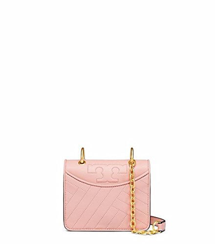 Buy Tory Burch Alexa Mini Shoulder Bag, Dark Pink Quartz Online at Lowest  Price in Ubuy Jordan. 766501232