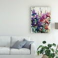 thumbnail image 3 of Trademark Fine Art 'Iris Blooming II' Canvas Art by Tim OToole, 3 of 4