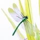thumbnail image 4 of Matsuzay Decoración de libélula para jardín, 5 uds., diseño de escena, adorno para patio, escultura de césped, adorno para manualidades, Plantas Artificiales, 4 of 6