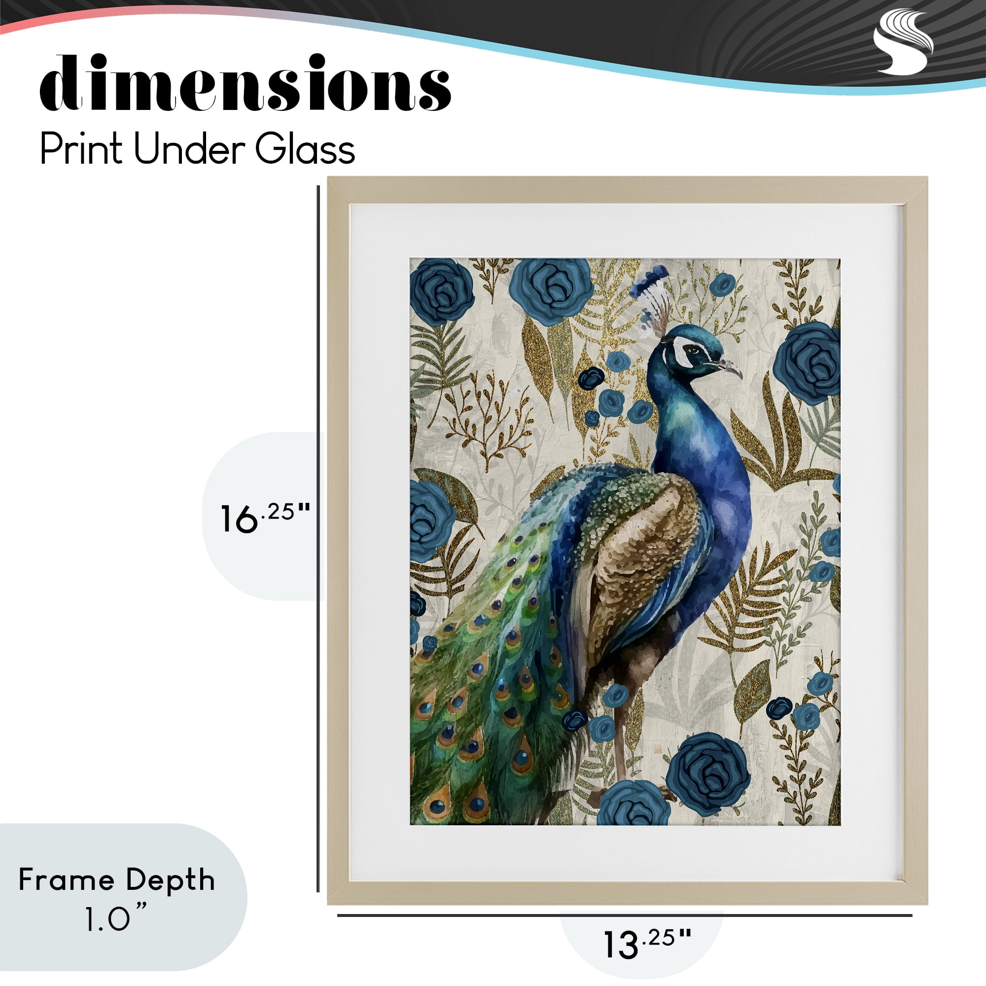 Stupell Industries Peacock Pride Botanicals Birch Framed Print Under Glass, design by Kim Allen