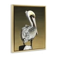 thumbnail image 3 of Stupell Industries Traditional Pelican with Intense Gaze Gold Floating Frame Canvas Art, 25 x 31, by Christine Reichow, 3 of 8