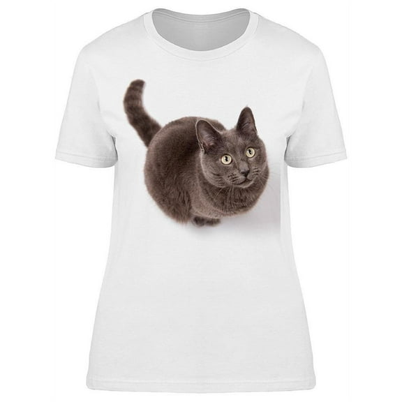 Grey Cat Adorable Fluffly T-Shirt Women -Image by Shutterstock, Female 3X-Large