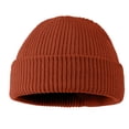 thumbnail image 1 of Qarigey Sombreros para mujer, accesorios para la cabeza, cubierta para el cabello, gorros de invierno cómodos, gorro de punto grueso para al aire Type3 NO3 Qarigey AP009139-14, 1 of 6