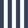 Sapphire Blue Cabana Stripe