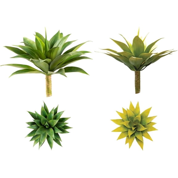 Large Green Round Leaves Agave & Medium Yellow Round Leaves Agave