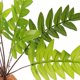 thumbnail image 5 of unbranded Planta Decorativa Para De Reptiles Multicolor Con Base Estable Y Natural, 5 of 6