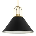 thumbnail image 2 of Hunter - Carrington Isle 1-light Matte Black, Medium Size Pendant Light, Dimmable, Casual Style, Cone Shaped, for Bedrooms, Dining, Living Rooms - 13165, 2 of 9