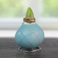 thumbnail image 2 of Holland Bulb Farms Waxed Amaryllis Flower Bulb Indoor Plant, Waxed Amaryllis Requires No Soil or Water, 2 of 8