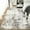 Gray/Camel, variant on HOMERRY Rugs 5' x 7' Abstract Area Rug for Living Room Non Slip Low Pile Carpet, Gray