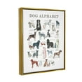 thumbnail image 4 of Stupell Industries Dog Alphabet Multiple Breeds Educational Animals Chart Graphic Art Metallic Gold Floating Framed Canvas Print Wall Art, Design by Dishique, 4 of 5