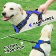 thumbnail image 5 of Astarin No Pull Dog Harness for Large Dogs,No Choke Front Clip Dog Reflective Harness, Adjustable and Comfortable for Easy Walking, Adjustable 2 Metal Rings 3 Buckles,Blue/L, 5 of 6