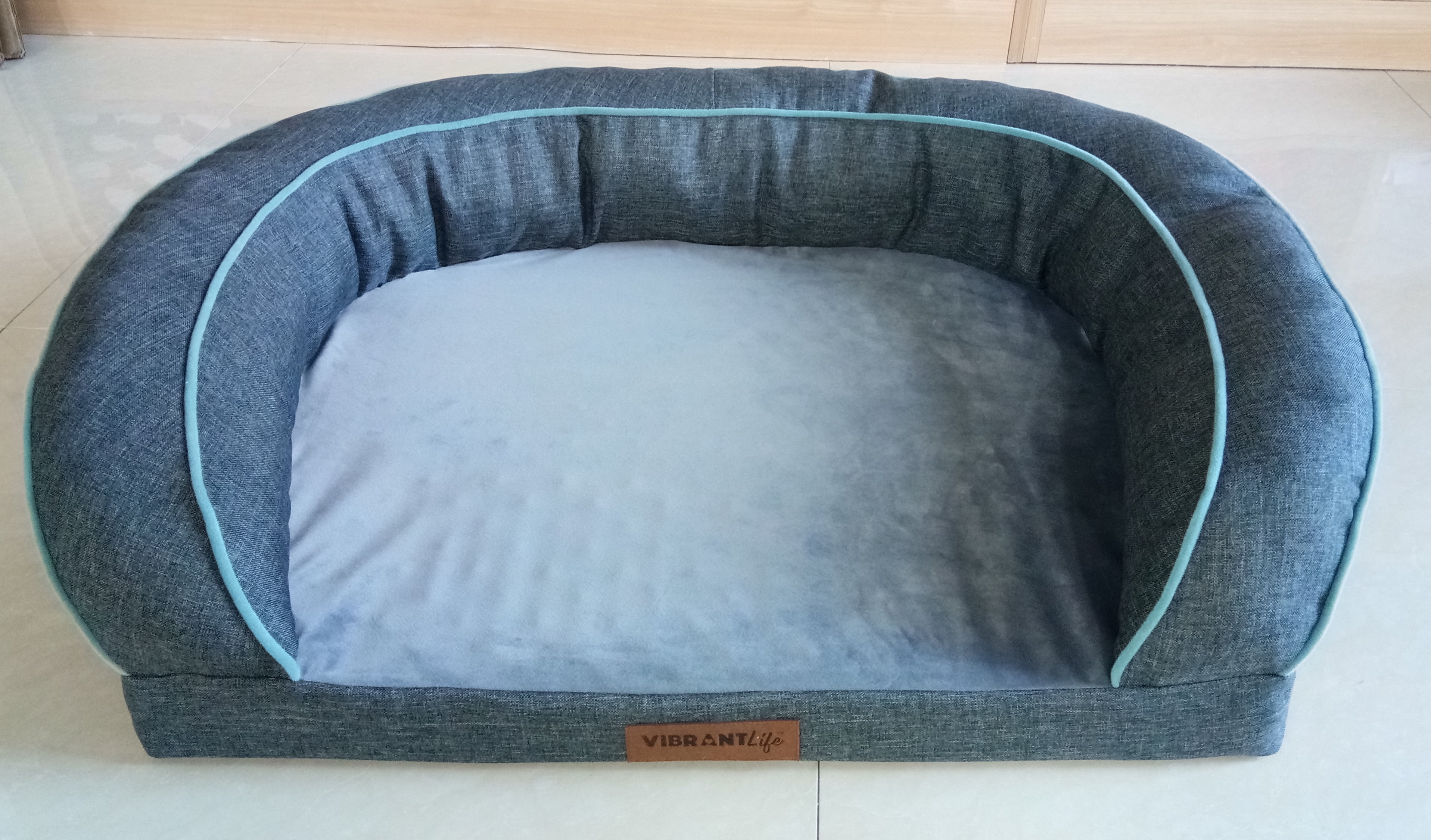 gray dog couch