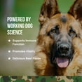 thumbnail image 2 of Operation Good Boy SRE: Immune Support Health Supplement for Dogs, Beef Liver Flavor, Ready to Eat, 90 Soft Chews, 2 of 7