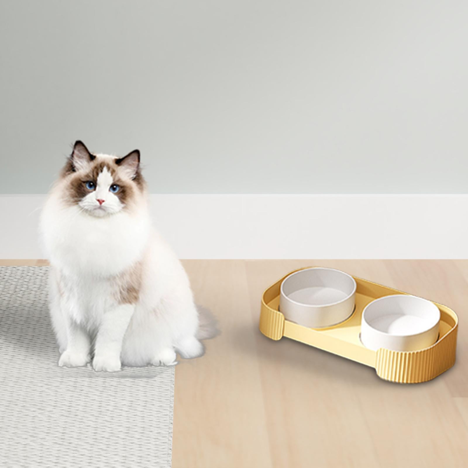Fzaqwen Ceramic Elevated Cat Bowls Double Cat Food and Water Bowl Dishes for Indoor Cats yellow