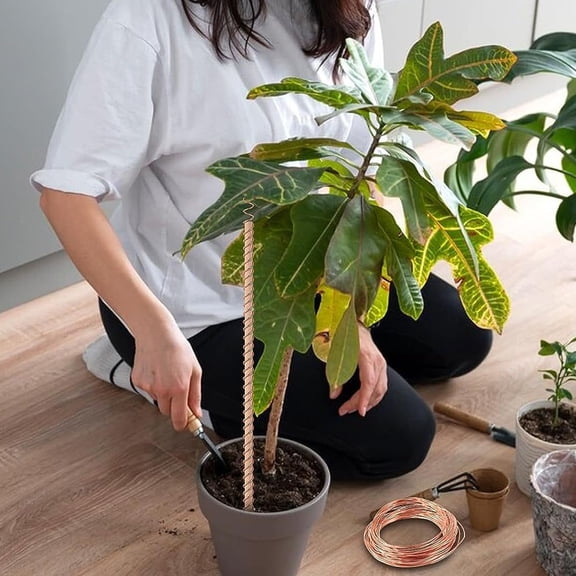 BESTOYARD 3Pcs Pure Copper Wire Antennas for Gardening with Stakes Supporting Healthy Root Development