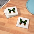 thumbnail image 3 of CafePress - Madagascan Sunset Moth - Tile Coaster, Drink Coaster Set of 4, 3 of 4