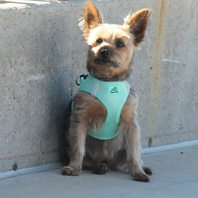 Choke-Free Shoulder Collar Harness for Small Dogs