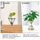 thumbnail image 5 of 4 Pieces Avocado Seed Growing Metal Stand for 3.15 Inch Wide Cup Root Seed Growing Stand Triangle Metal Stand for Seeds, 5 of 5