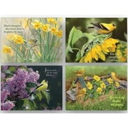 Card-Boxed-Shared Blessings-Thinking Of You 2-Birds (Box Of 12)