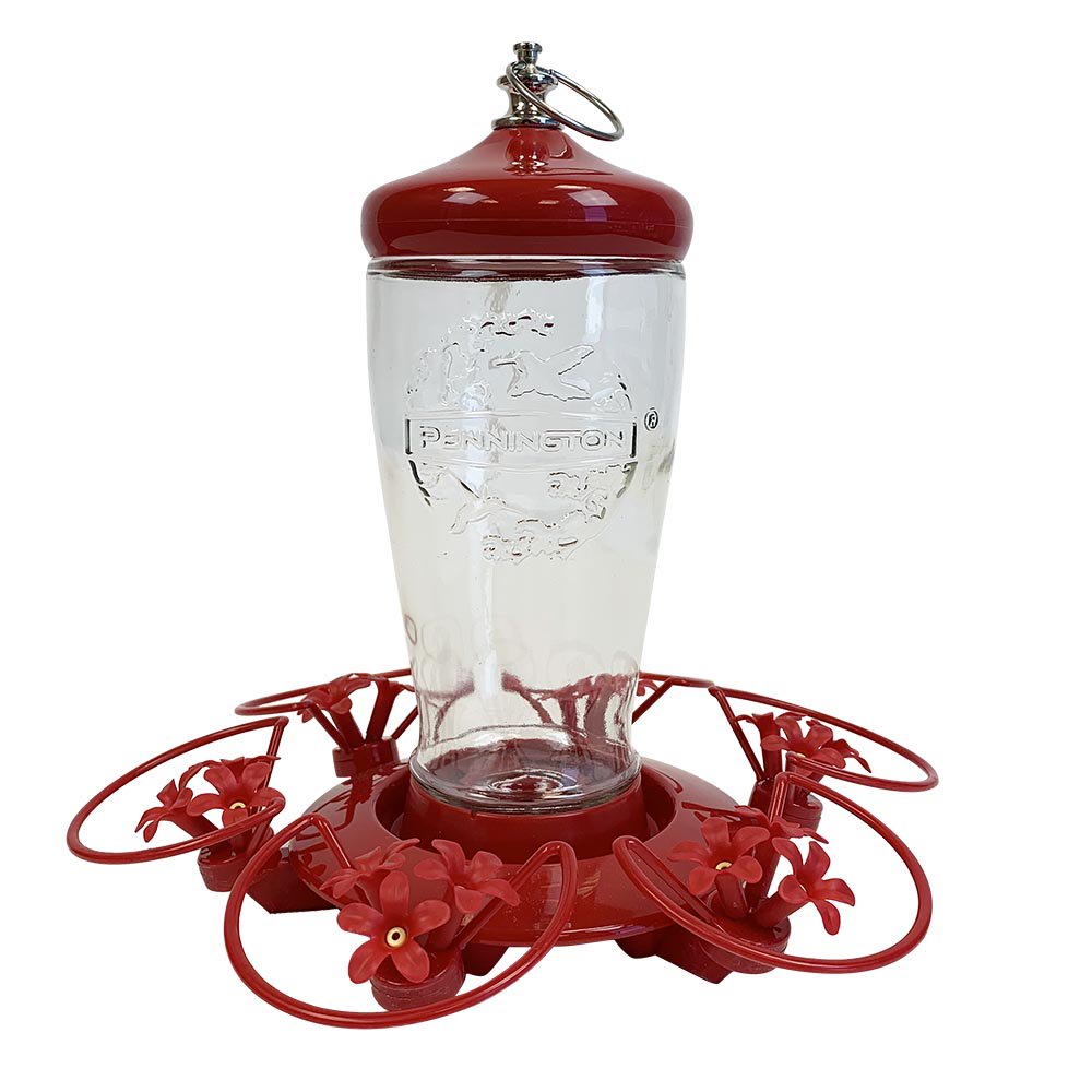Pennington Triple Trumpet Glass Bottle Hummingbird Feeder, 32 oz Nectar Capacity