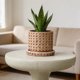 thumbnail image 4 of Cement Planters with Saucer Rattan Woven Patterns Plants Pot with Drainage, 4 of 7